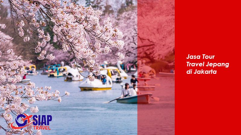 Jasa Tour Travel Jepang di Jakarta Jasa Tour Travel Jepang di Jakarta