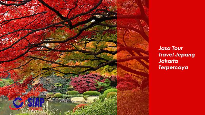 Jasa Tour Travel Jepang Jakarta Terpercaya Jasa Tour Travel Jepang Jakarta Terpercaya